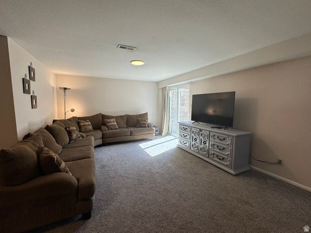 1170 E 50 N, Springville, UT 84663