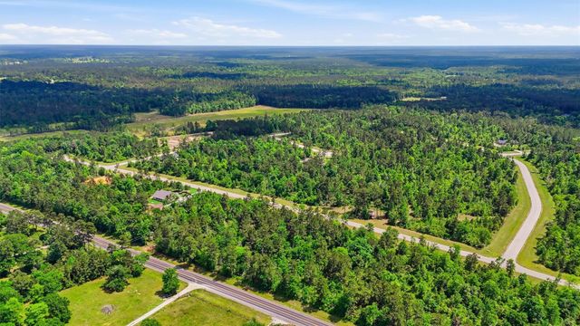 323 Iron Horse Road, Willis, TX 77358