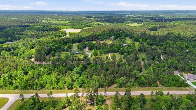 323 Iron Horse Road, Willis, TX 77358