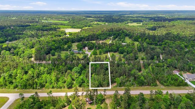 323 Iron Horse Road, Willis, TX 77358