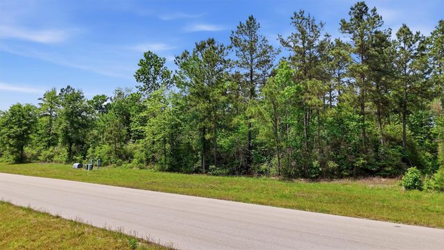 323 Iron Horse Road, Willis, TX 77358