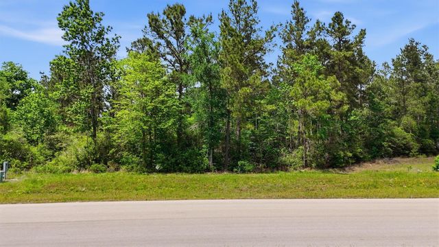 323 Iron Horse Road, Willis, TX 77358
