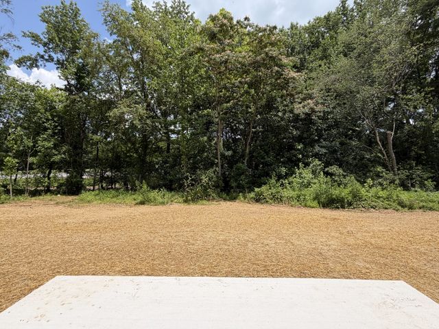 883 Old Bushy Branch, Manchester, TN 37355