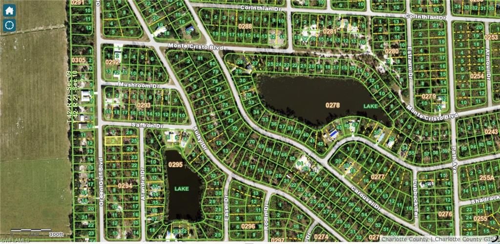 13302 Green Gulf BLVD, PUNTA GORDA, FL 33955 — photo 4