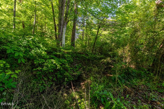 1050 Butcher Valley Road, Rogersville, TN 37857