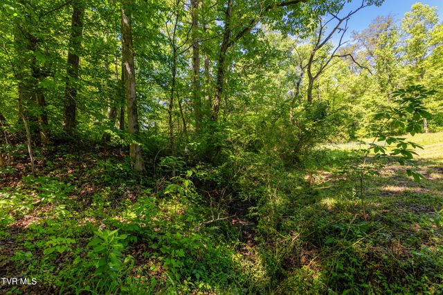 1050 Butcher Valley Road, Rogersville, TN 37857