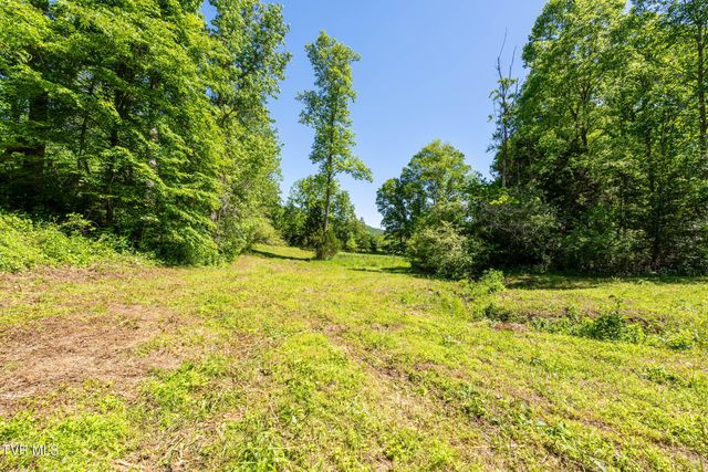 1050 Butcher Valley Road, Rogersville, TN 37857