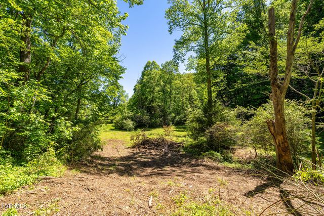 1050 Butcher Valley Road, Rogersville, TN 37857