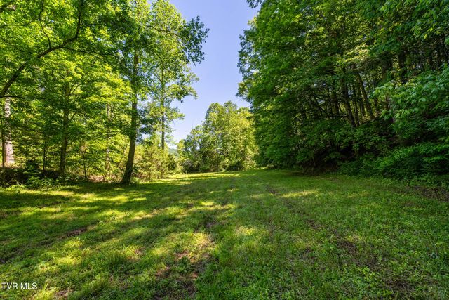 1050 Butcher Valley Road, Rogersville, TN 37857