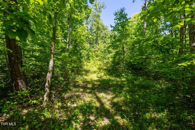 1050 Butcher Valley Road, Rogersville, TN 37857