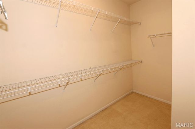 1251 Strassner Drive 2301, Brentwood, MO 63144