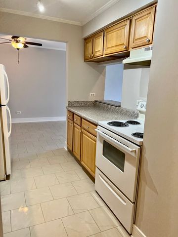 5424 W Ferdinand Street 104, Chicago, IL 60644