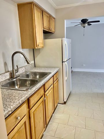 5424 W Ferdinand Street 104, Chicago, IL 60644