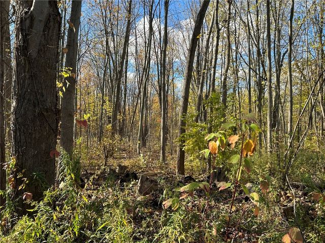 2555 State Route 104, Ontario, NY 14519