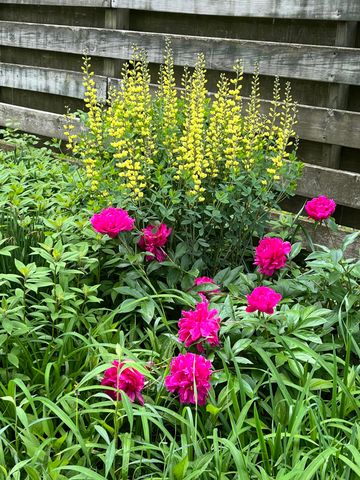 502 Barnes Mill Road, Richmond, KY 40475