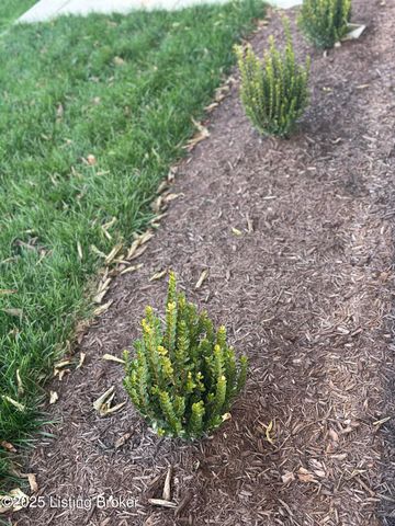 4301 Paper Birch Way, Louisville, KY 40245