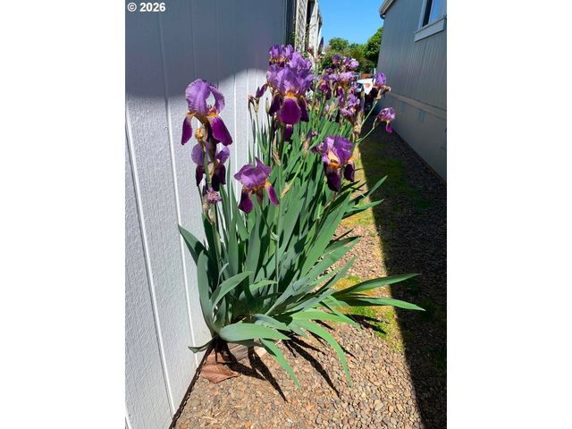 1699 N TERRY St 351, Eugene, OR 97402
