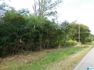 1389-1409 CRESWELL ROAD, Harpersville, AL 35078
