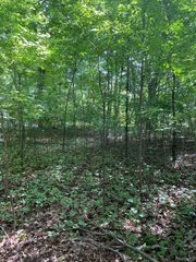 21351 Whitlock Street, Farmington Hills, MI 48336