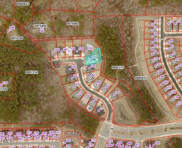 114 Autumn Gate Street, Pittsboro, NC 27312