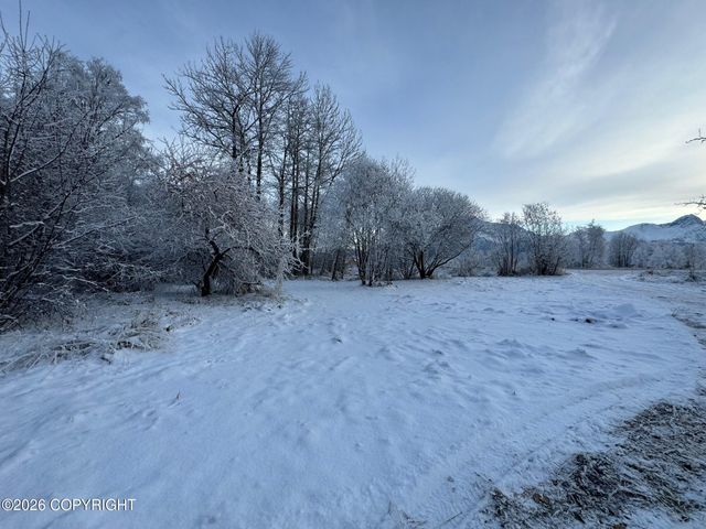 14671 E Outer Springer Loop, Palmer, AK 99645