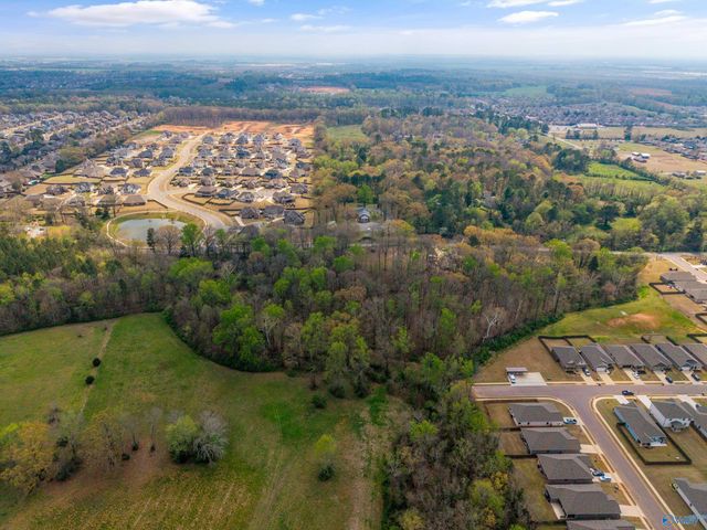 Lot 6 Powell Road, Madison, AL 35756