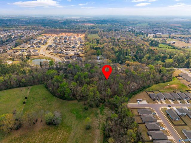 Lot 6 Powell Road, Madison, AL 35756
