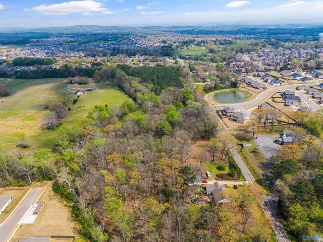 Lot 6 Powell Road, Madison, AL 35756