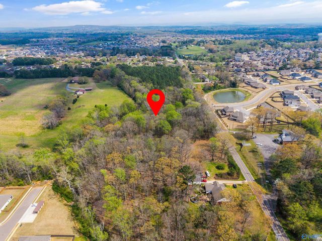 Lot 6 Powell Road, Madison, AL 35756