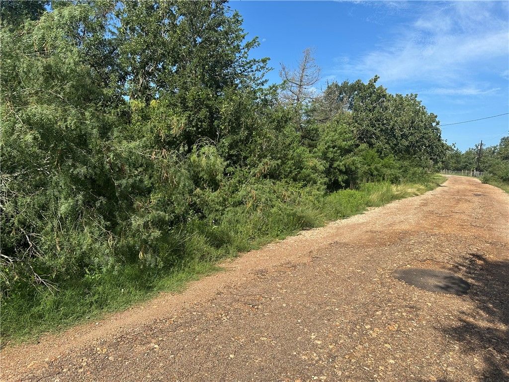 600 Blueberry Hill Road, Somerville, TX 77879 — photo 3