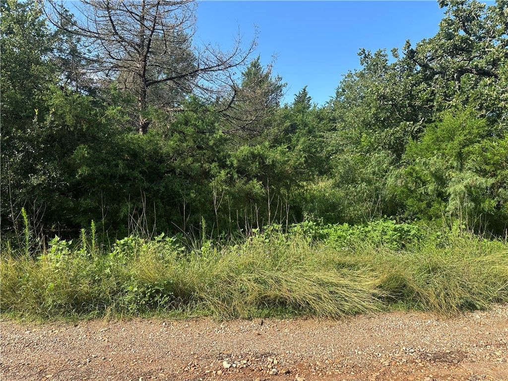 600 Blueberry Hill Road, Somerville, TX 77879 — photo 4