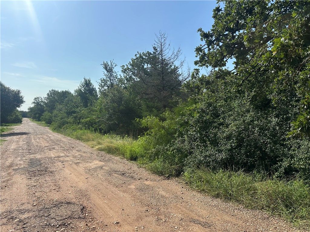 600 Blueberry Hill Road, Somerville, TX 77879 — photo 5
