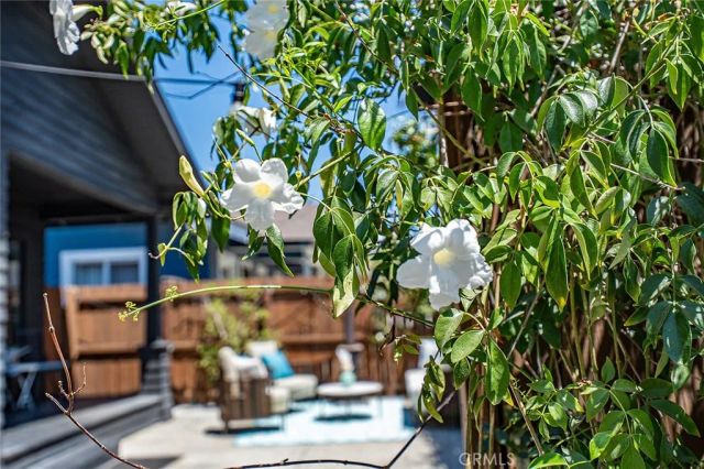 523 Olive, Long Beach, CA 90802