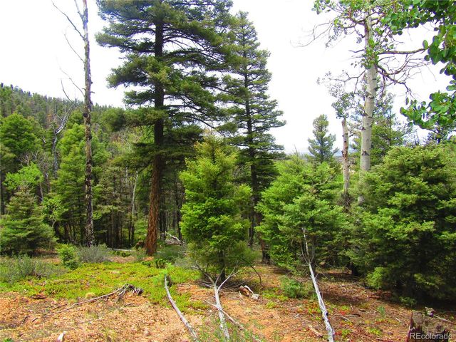 Lot 6028 Spruce Roads, San Luis, CO 81152