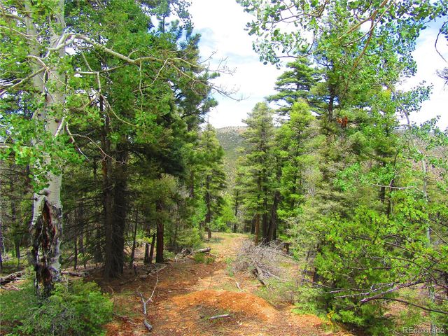 Lot 6028 Spruce Roads, San Luis, CO 81152