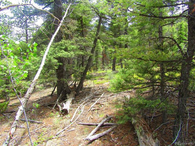 Lot 6028 Spruce Roads, San Luis, CO 81152