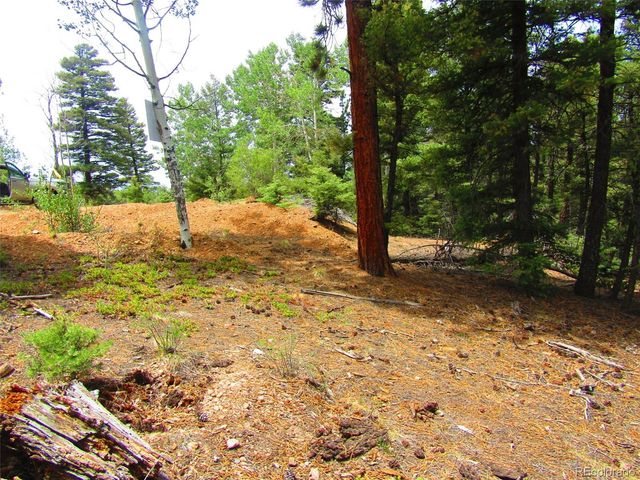 Lot 6028 Spruce Roads, San Luis, CO 81152