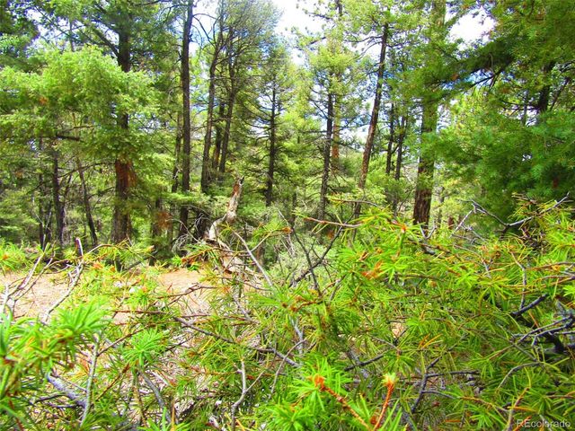 Lot 6028 Spruce Roads, San Luis, CO 81152