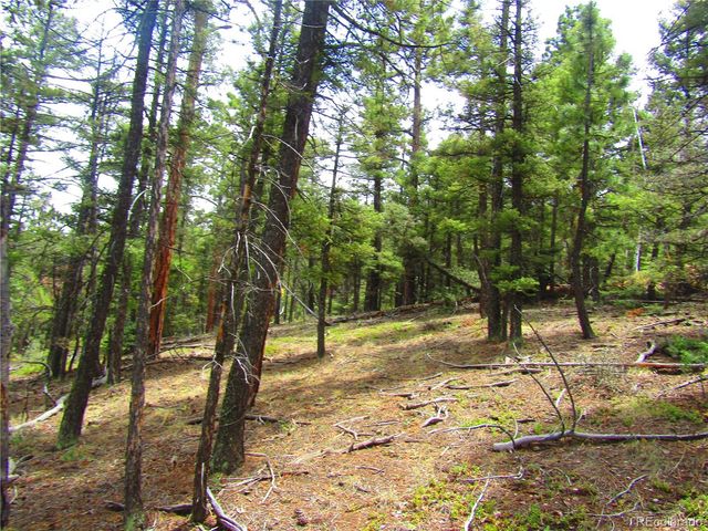 Lot 6028 Spruce Roads, San Luis, CO 81152