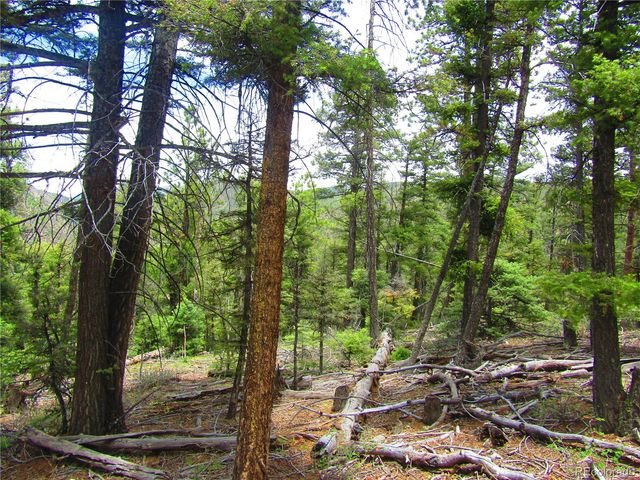 Lot 6028 Spruce Roads, San Luis, CO 81152