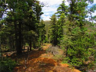 Lot 6028 Spruce Roads, San Luis, CO 81152
