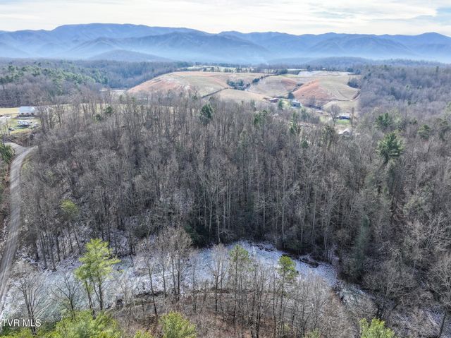 875 Frank Roberts Road, Afton, TN 37616