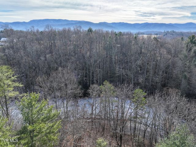 875 Frank Roberts Road, Afton, TN 37616