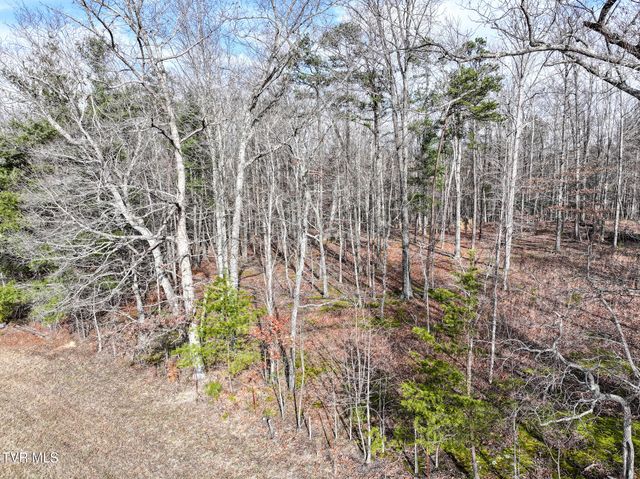 875 Frank Roberts Road, Afton, TN 37616