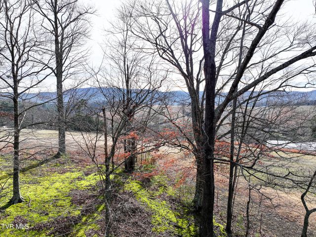 875 Frank Roberts Road, Afton, TN 37616