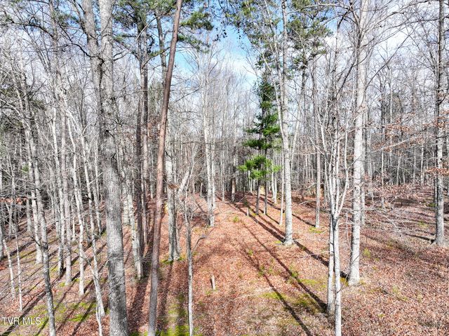 875 Frank Roberts Road, Afton, TN 37616