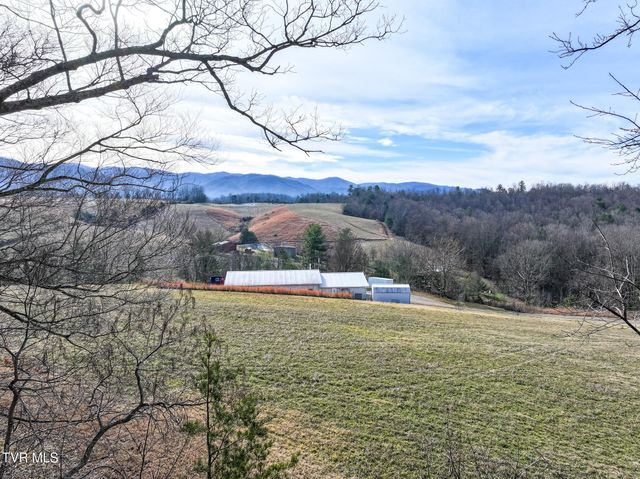 875 Frank Roberts Road, Afton, TN 37616