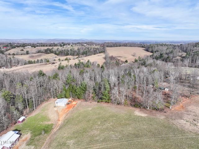 875 Frank Roberts Road, Afton, TN 37616