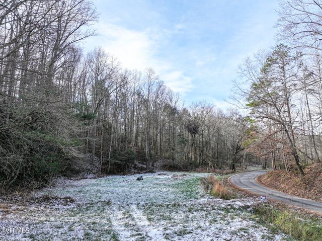 875 Frank Roberts Road, Afton, TN 37616