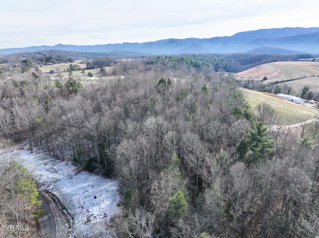 875 Frank Roberts Road, Afton, TN 37616